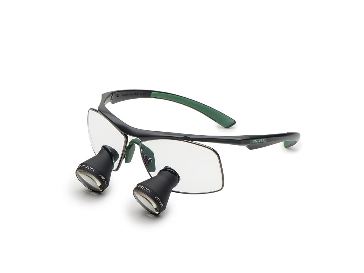 GO Galilei TTL Lupe 2,5x350 Größe XS mit Gestell Techne schwarz/grün