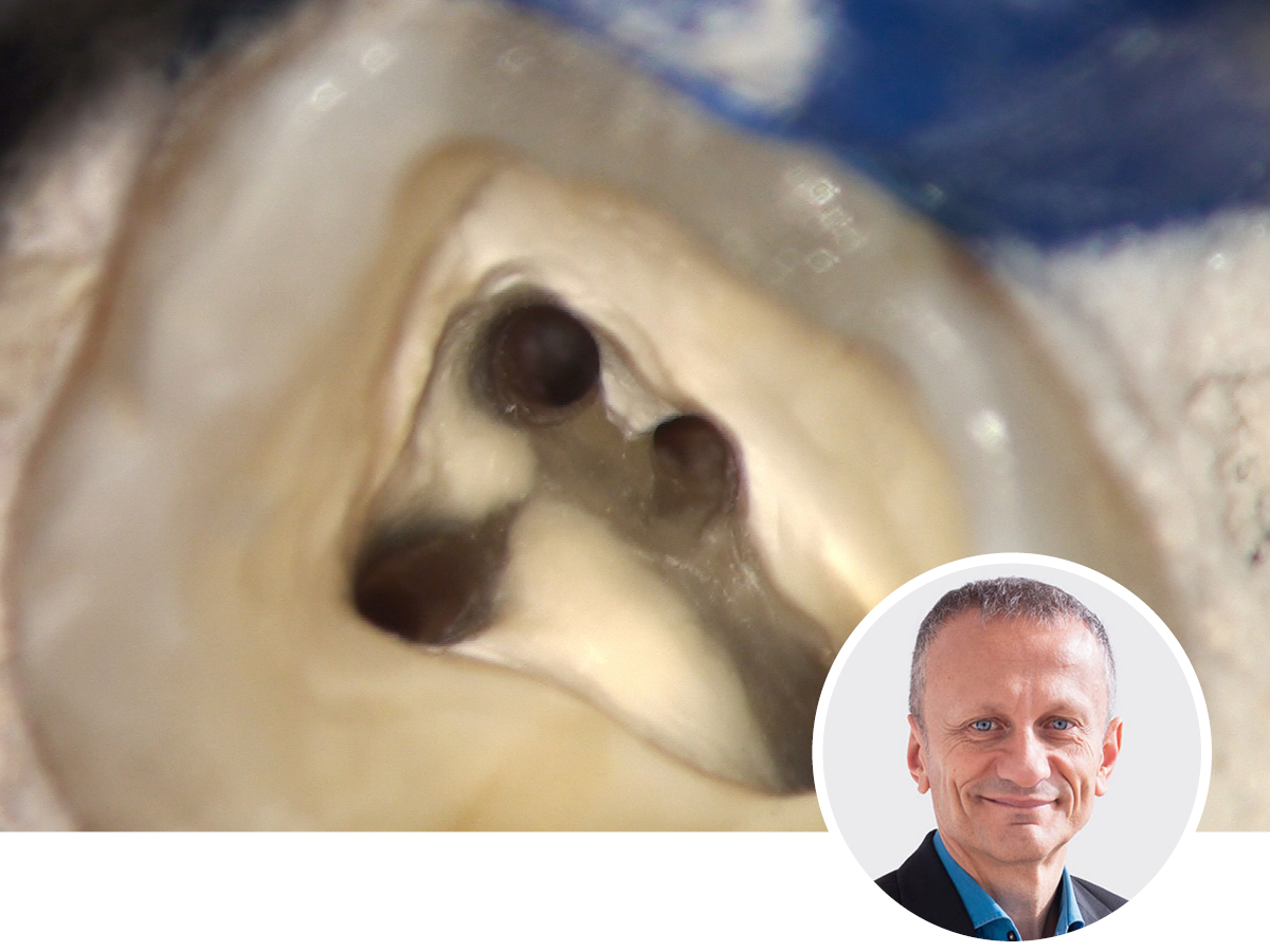 Das Mikroskop in der Endodontie - ein Update | 17.10.2026 | Nürnberg