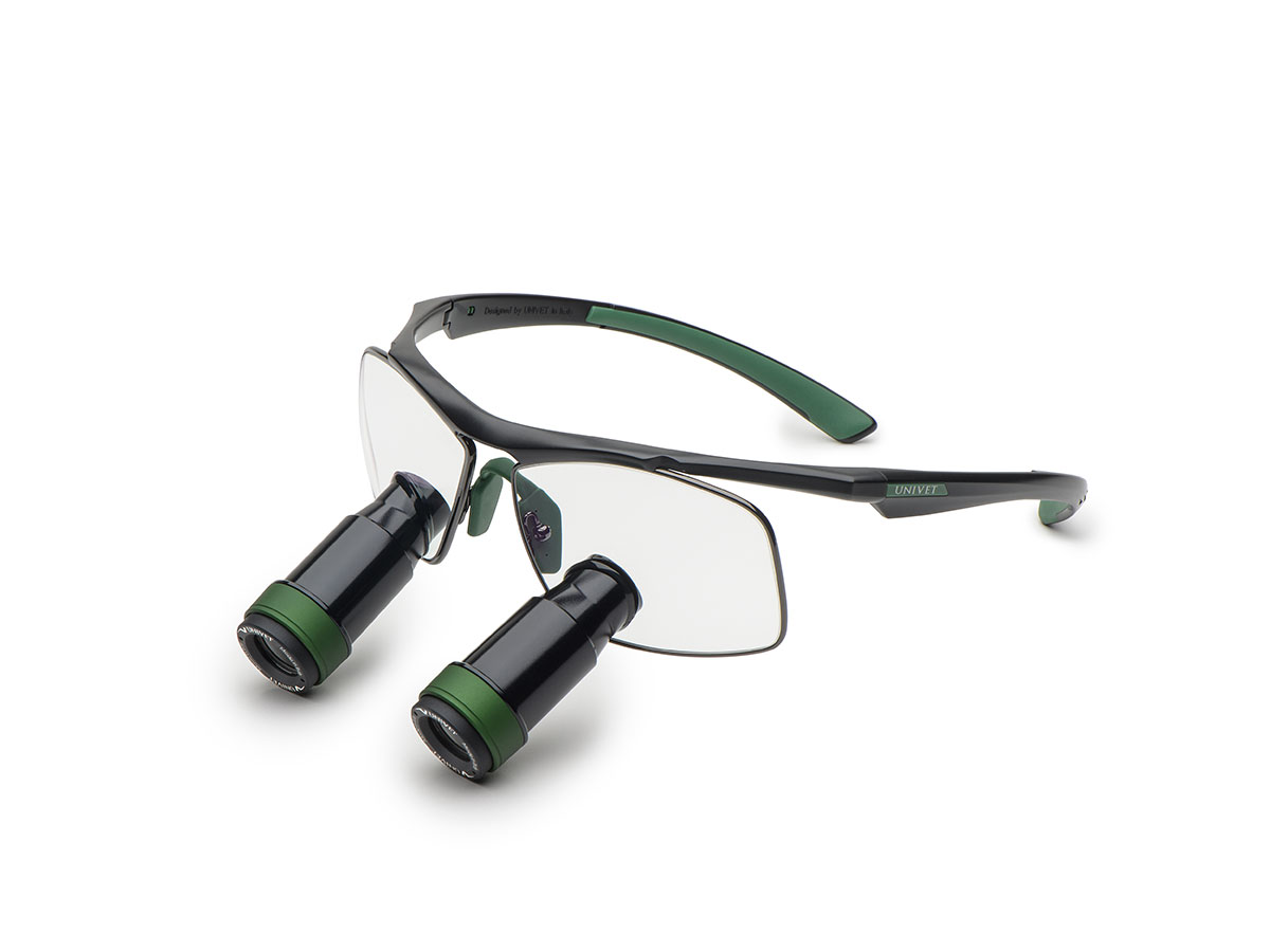 Univet Prismatik XS TTL Lupe 3,5x350 mm mit Gestell Techne 2025 schwarz/grün