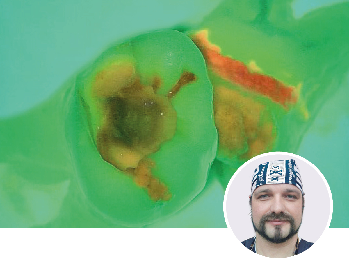 Basiskurs zum Arbeiten unter dem Mikroskop | 20.06.2026 | Köln