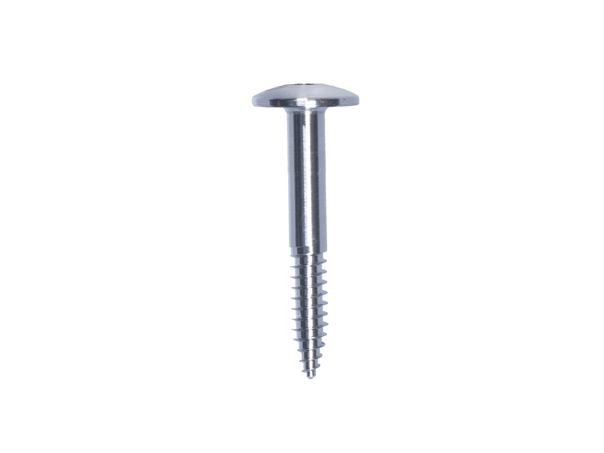 Tenting Screw Ø1.6 x 10 mm (2)