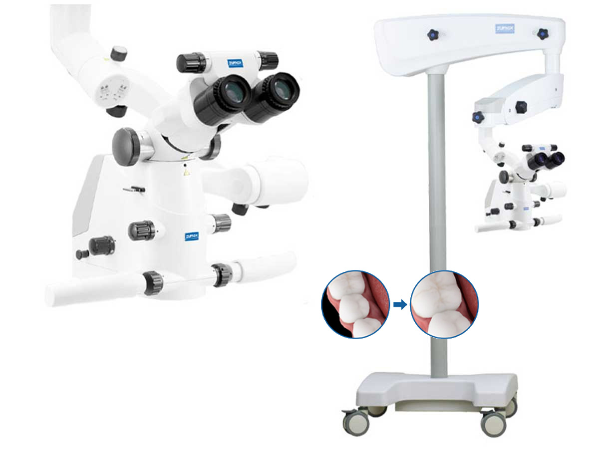 Mikroskop Komfort-Zoom (OMS2380 R2) mit Spezialtubus 1,5x - Rollenstativ