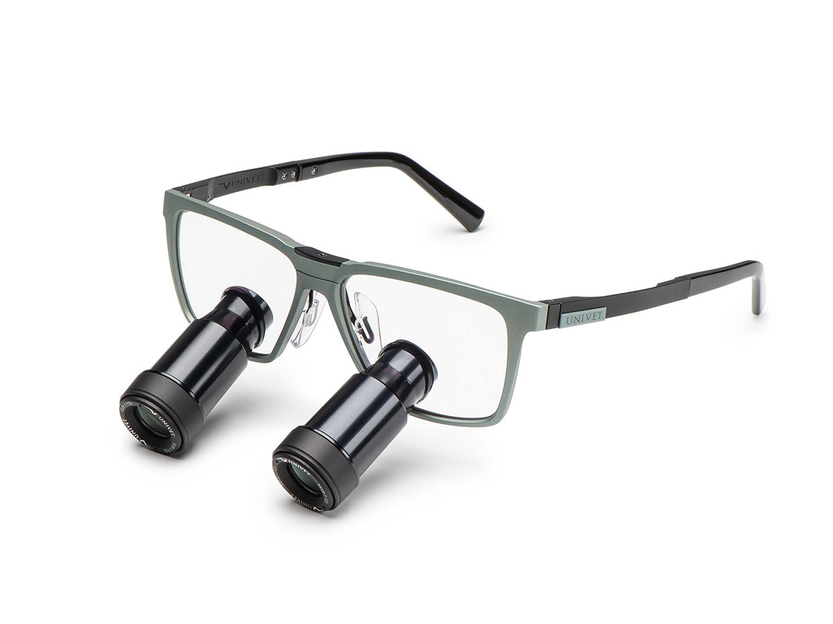 XS TTL One New Prismatik Desert Sage 4,0x350 mm