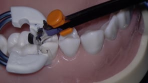 Evolve All-in-One Kit